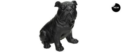 Dog Black